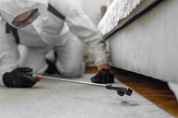 Professional Pest Control technician working in Granger, IN